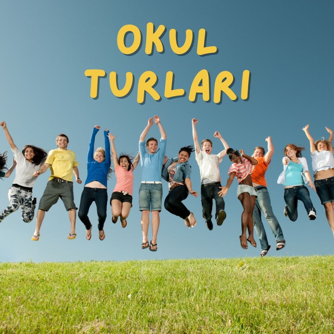 OKUL TURLARI